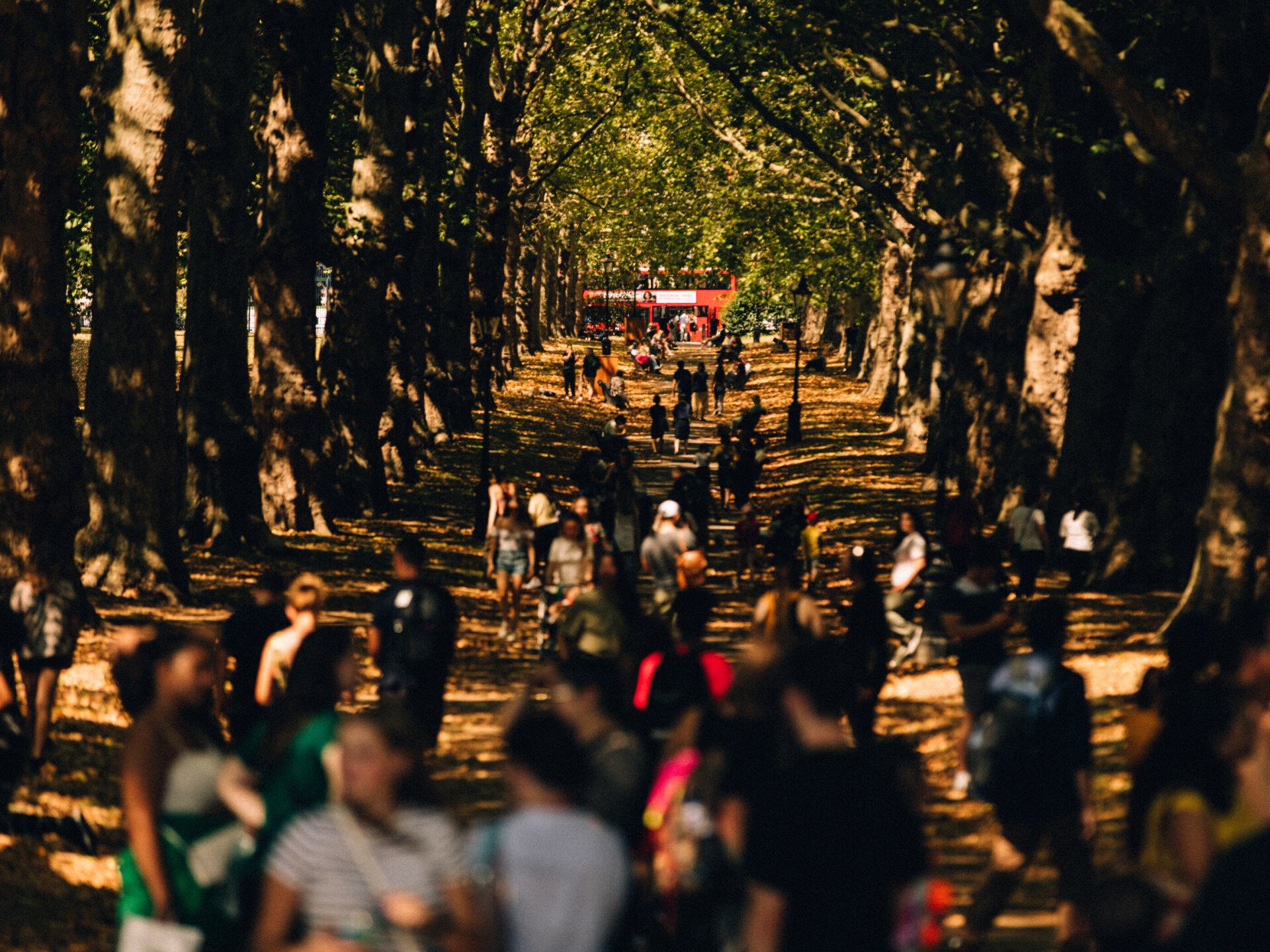 Hyde Park pathway