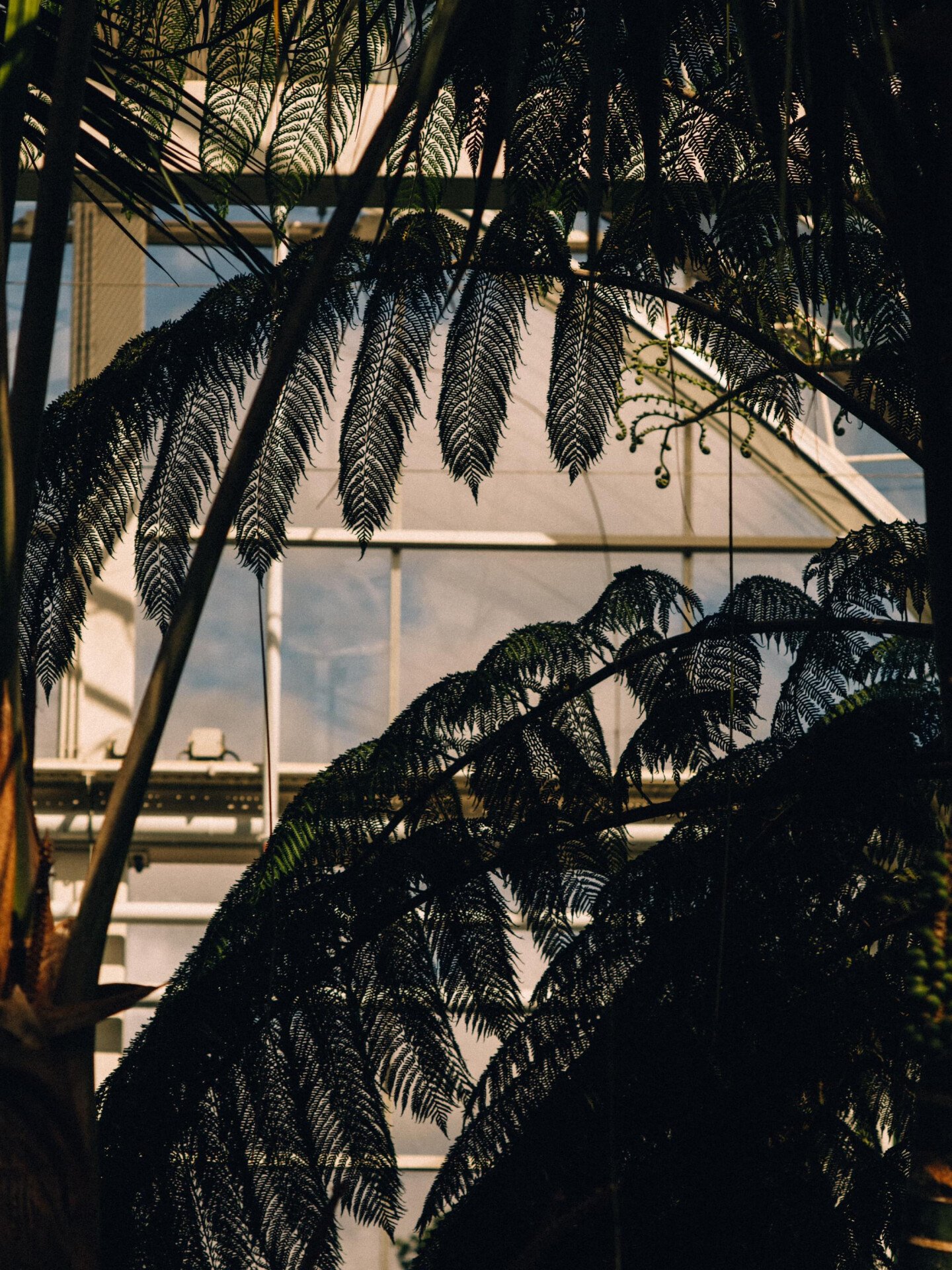 Ascot RHS Garden Wisley Glasshouse