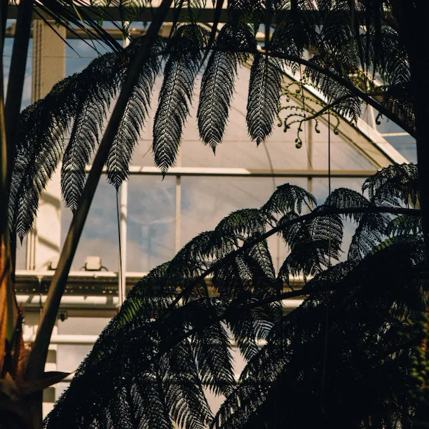 Ascot RHS Garden Wisley Glasshouse