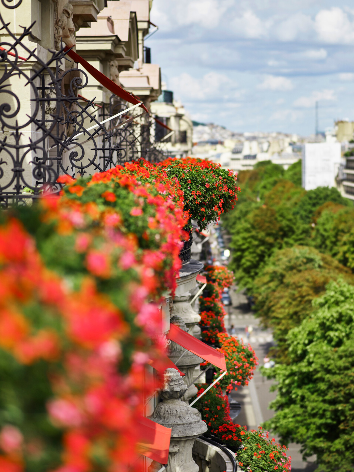 Des balcons fleuris bordent un immeuble, ornés de fleurs rouges et roses éclatantes. En contrebas, une rue urbaine bordée d'arbres s'étend à perte de vue. Journée ensoleillée et lumineuse.