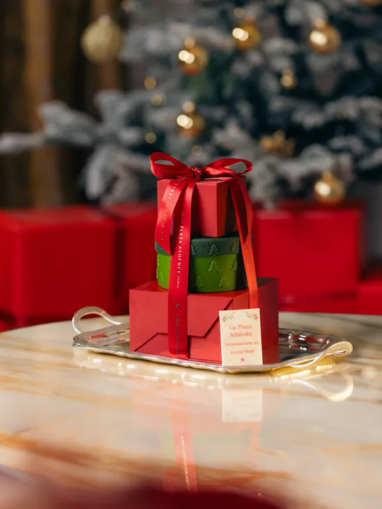 Yule log 2026 - Hotel Plaza Athenee by thetravelbuds_studio (3)