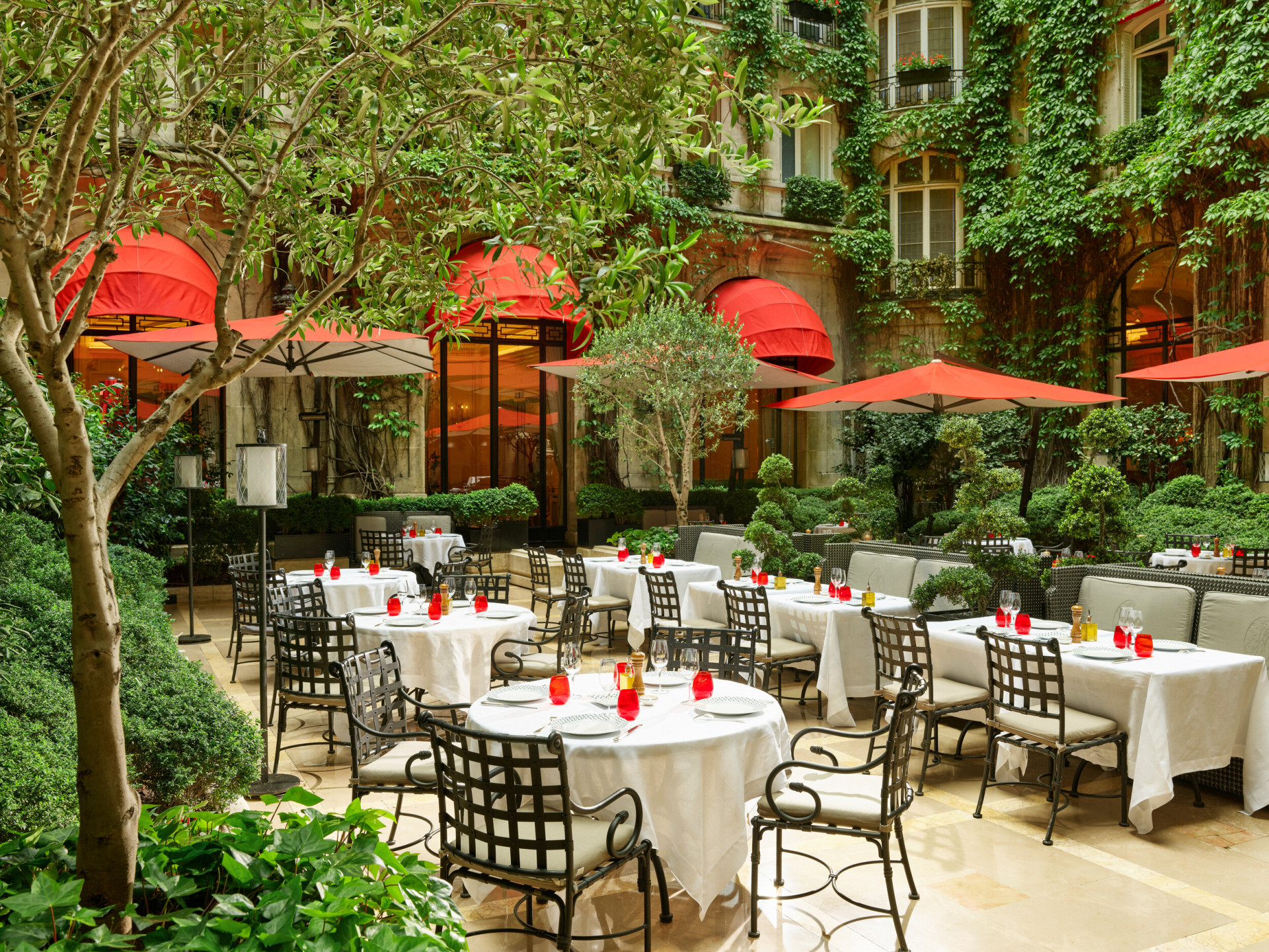 Terrasse de La Cour Jardin avec tables dressées, parasols rouges emblématiques, vigne verte et arbres vus de côté, à l’Hôtel Plaza Athénée, Paris
