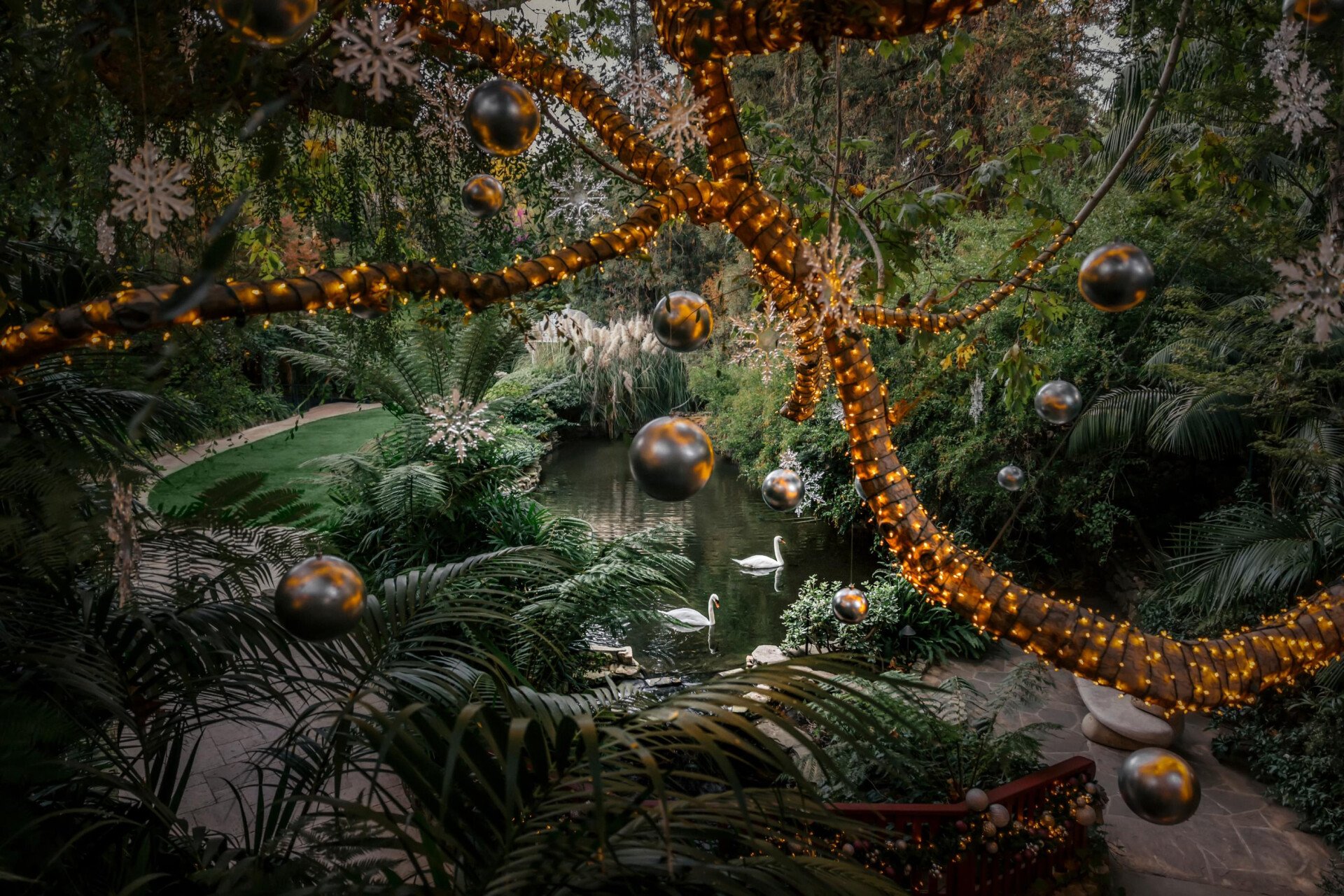 Festive Swan Lake 