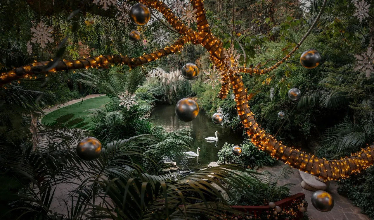 Festive Swan Lake