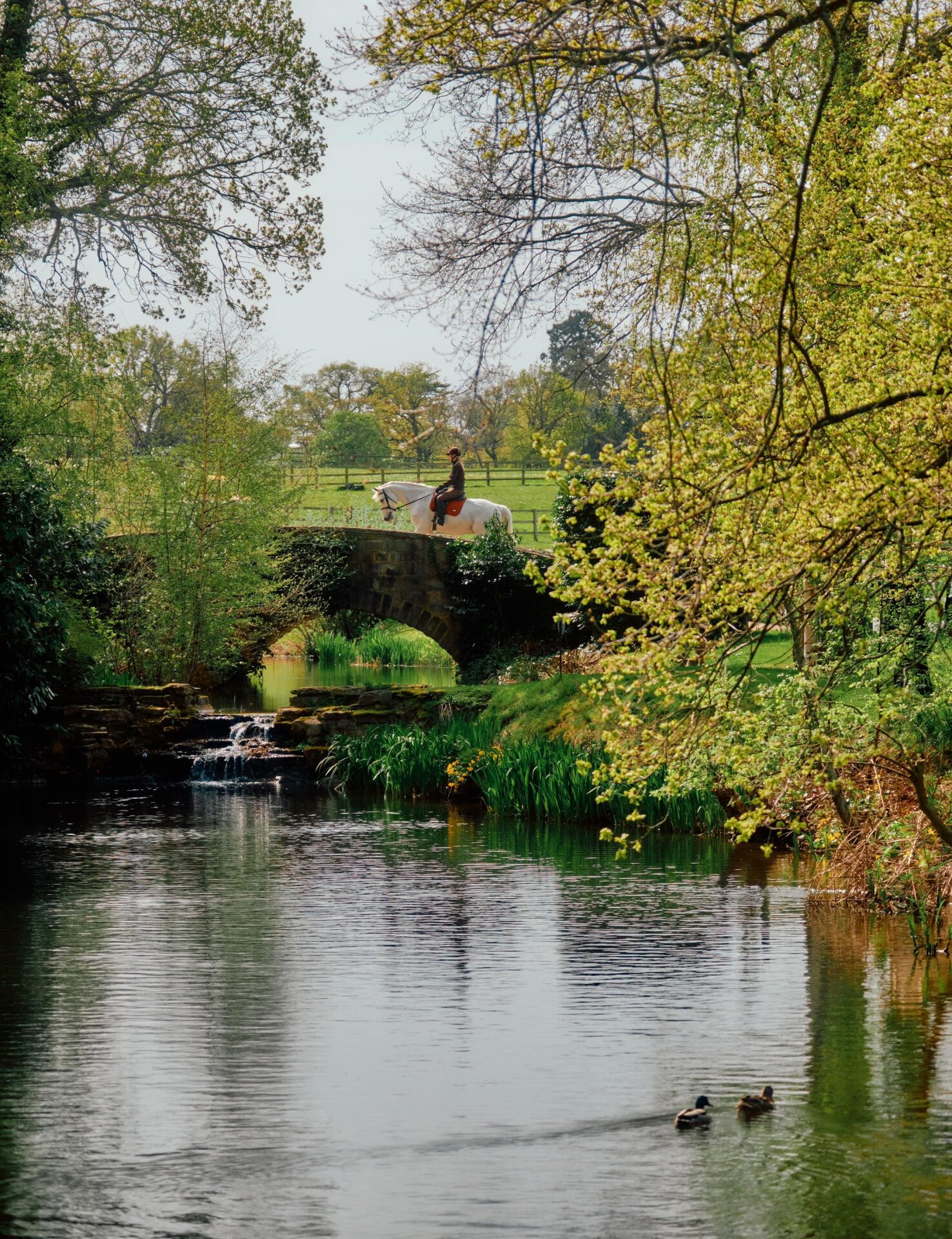 Coworth Park grounds with equestrian activities