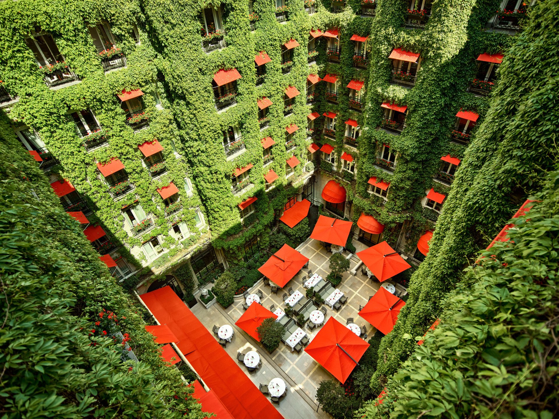 Photo montrant la cour jardin du Plaza Athenee vue de haut, la feuille de vigne recouvre les quatre façade de la cour et les parasols rouge sont ouverts.