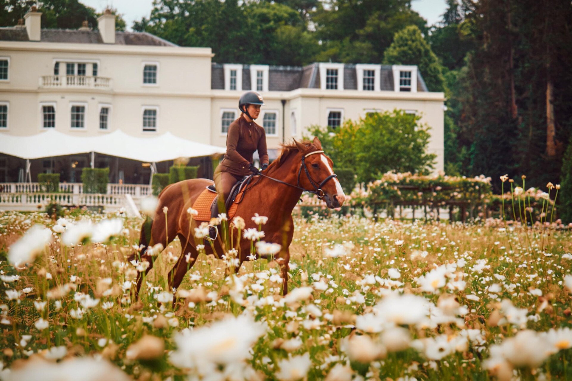 Horse riding through the meadow in front of the mansion house