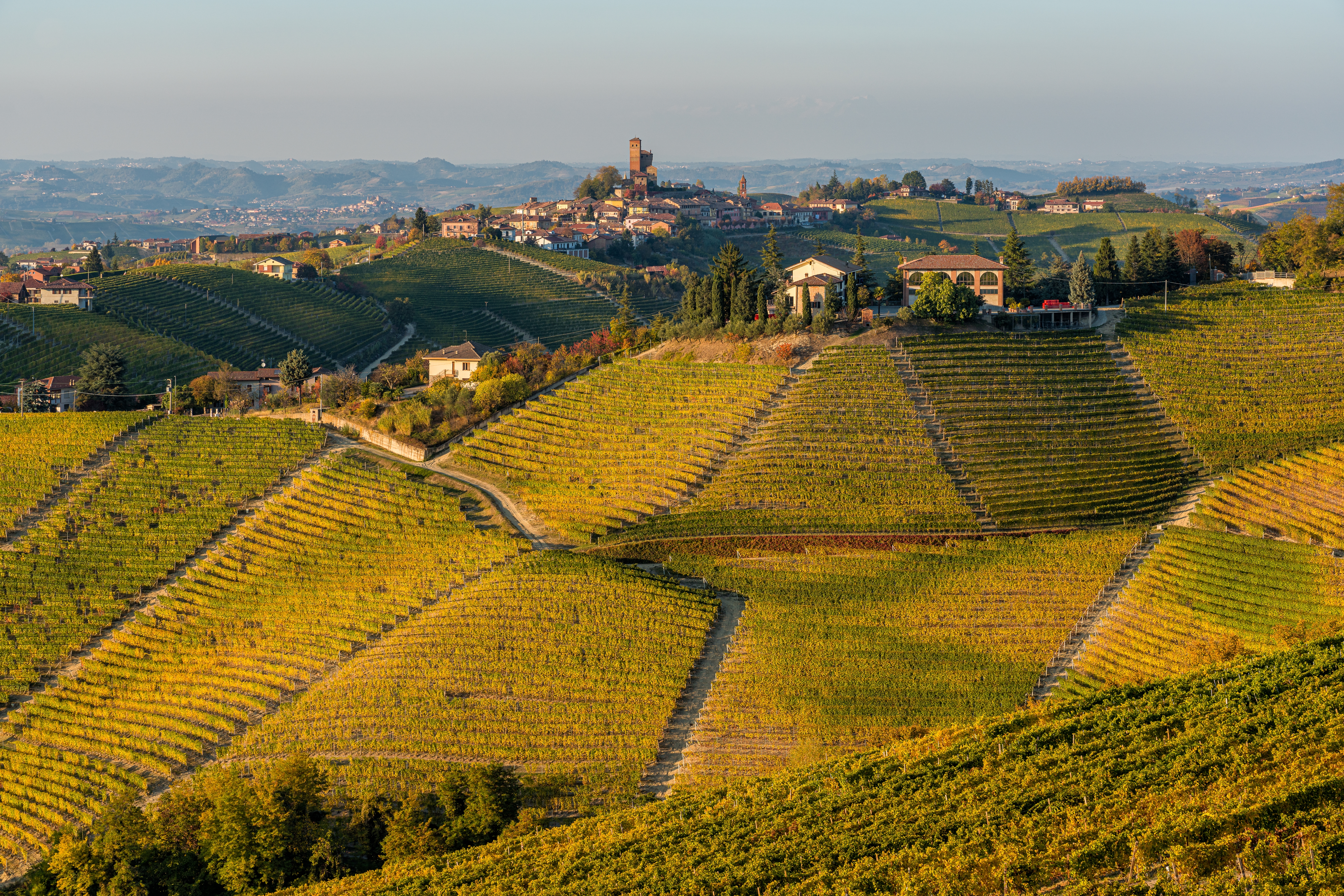 the view of the picturesque forests of the Piedmont region, with the town of Alba in the background
