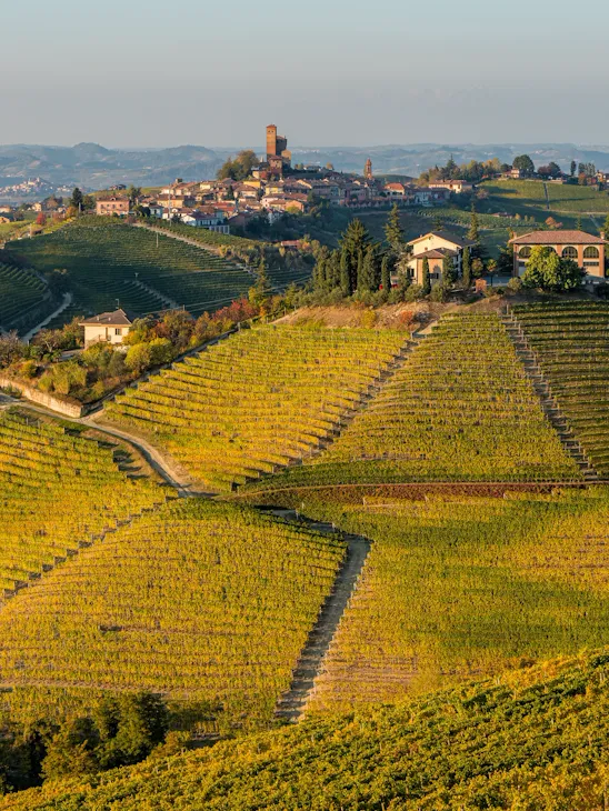 the view of the picturesque forests of the Piedmont region, with the town of Alba in the background