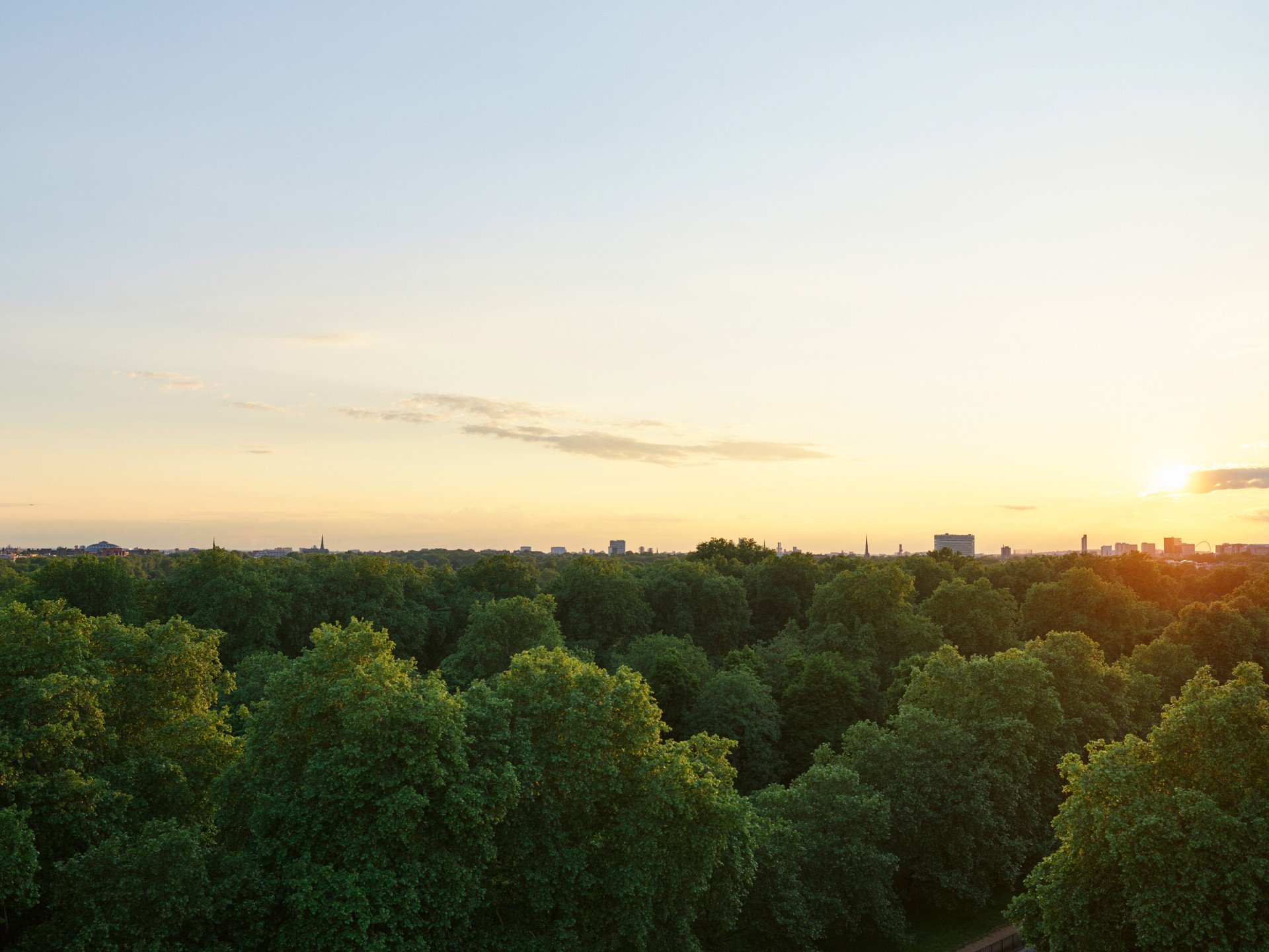 Sunset over lush green trees in a peaceful, natural setting with a calm, warm atmosphere