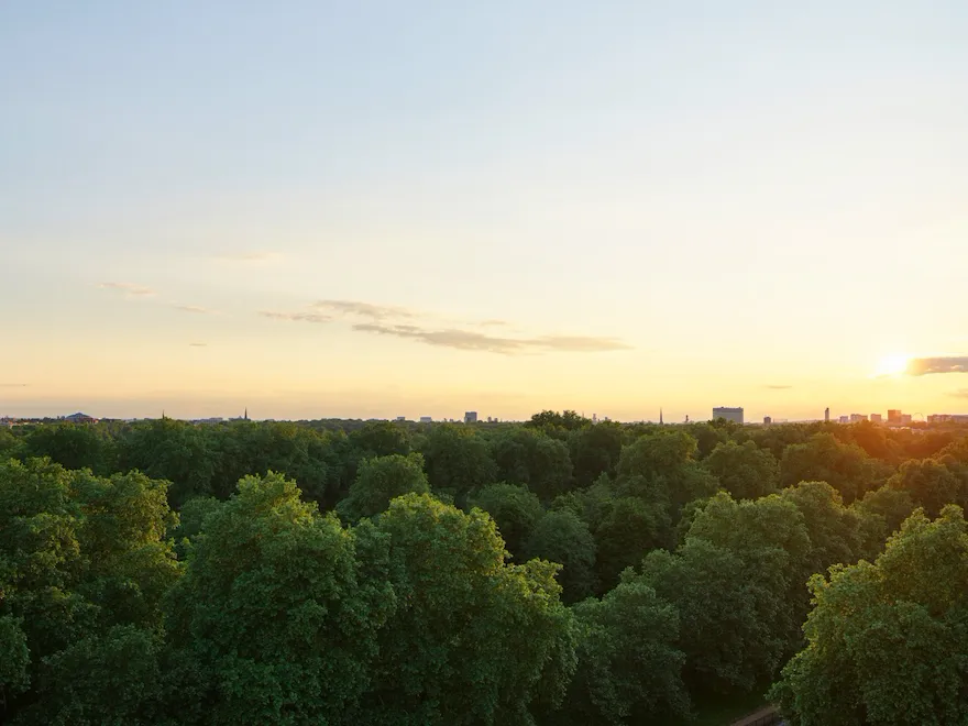 Sunset over lush green trees in a peaceful, natural setting with a calm, warm atmosphere