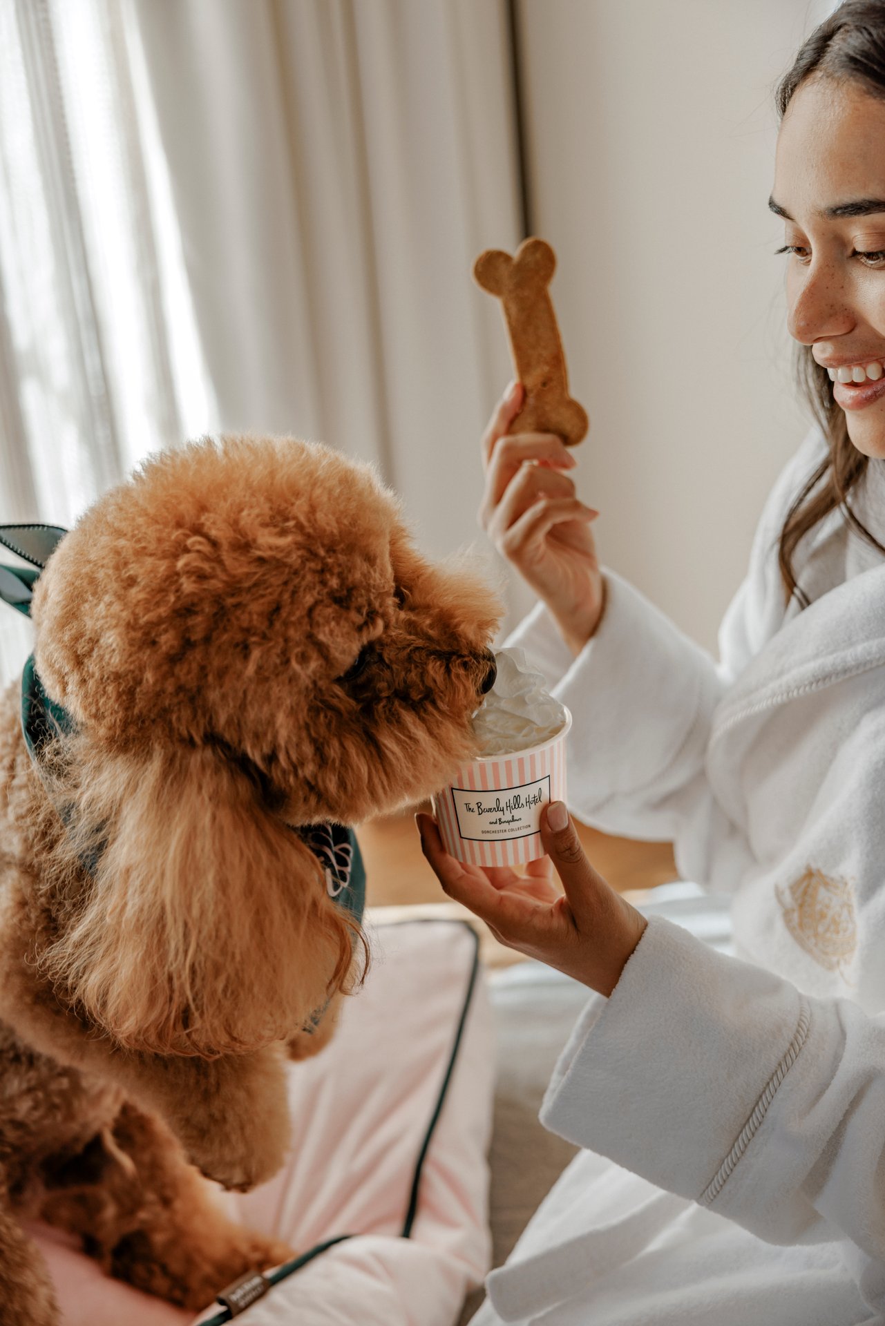 Person with a dog, holding a treat and toy, indoors, enjoying quality time together