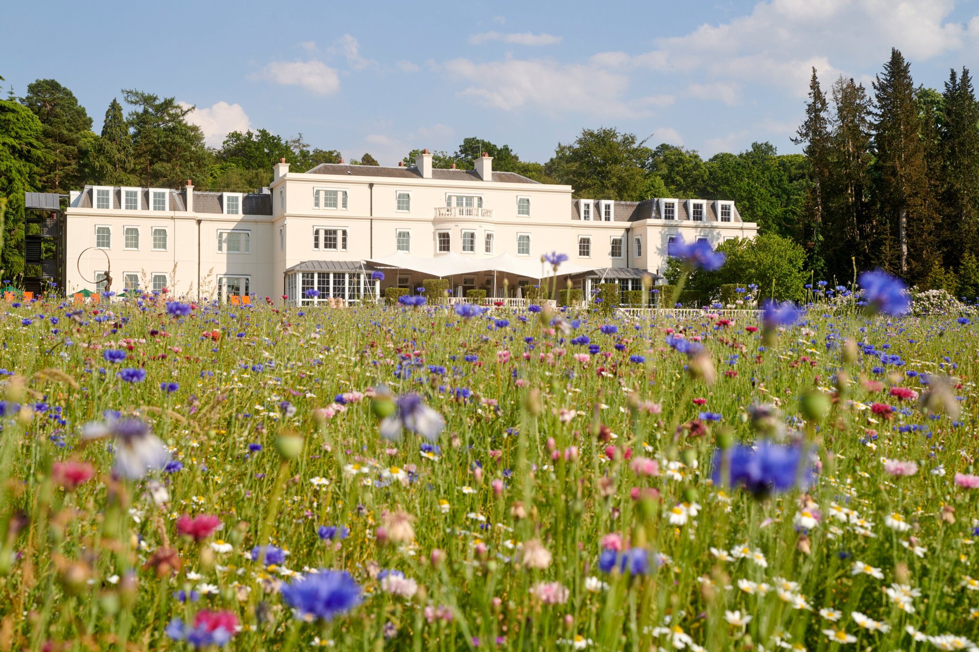 The Meadow at Coworth Park in the Summer