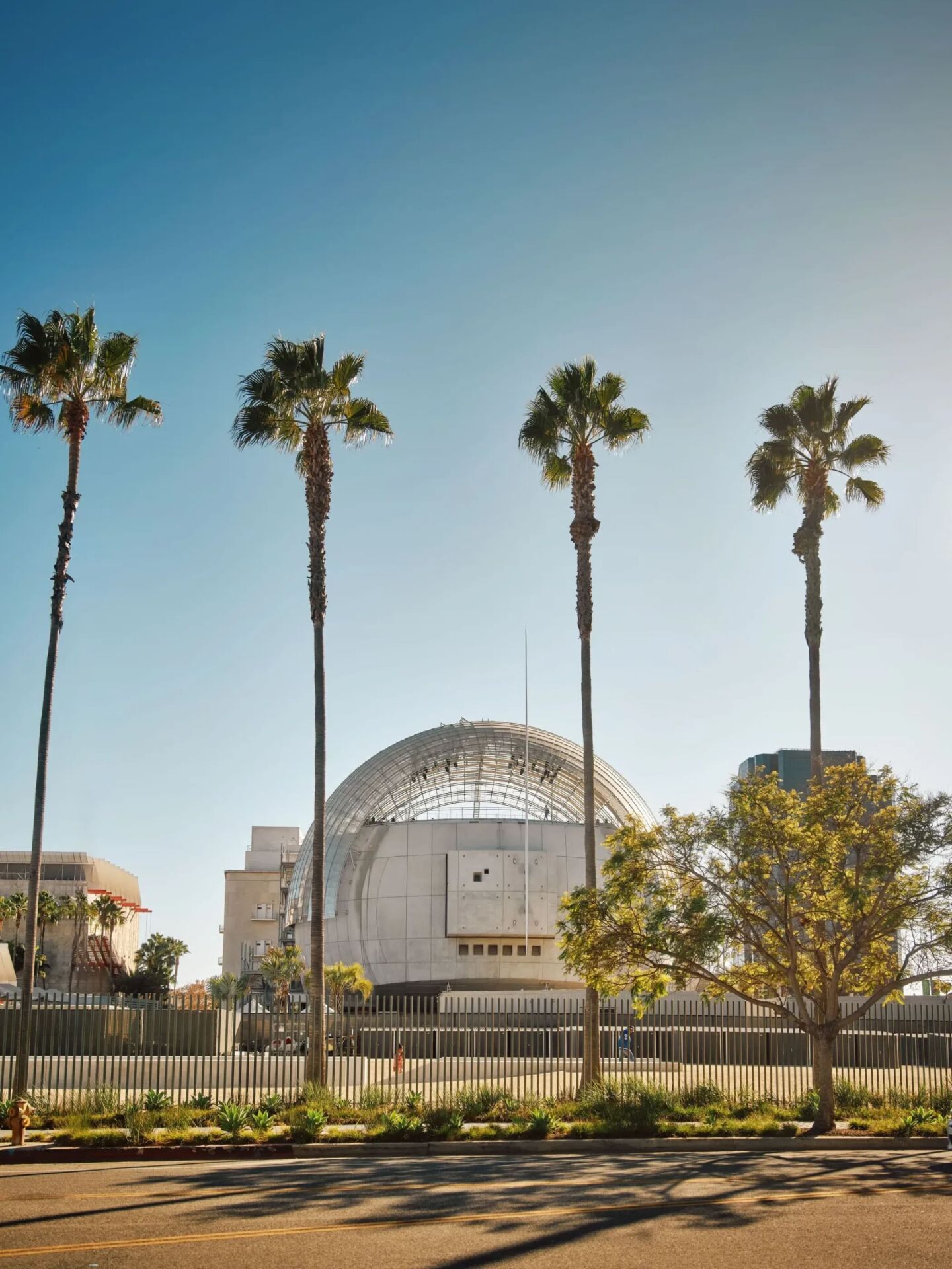 The Beverly Hills Hotel-Building Dreams Architecture Tour-Academy Museum
