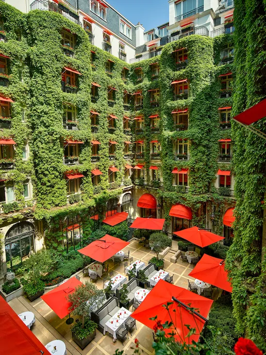 La Cour Jardin Courtyard green vine, red awnings and parasols seen from above, at Hotel Plaza Athénée, Paris
