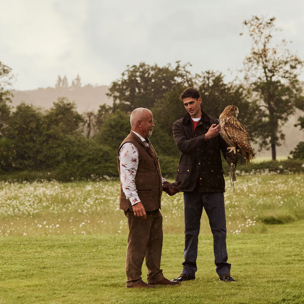 Falconry experience at Coworth Park, a Dorchester Collection hotel