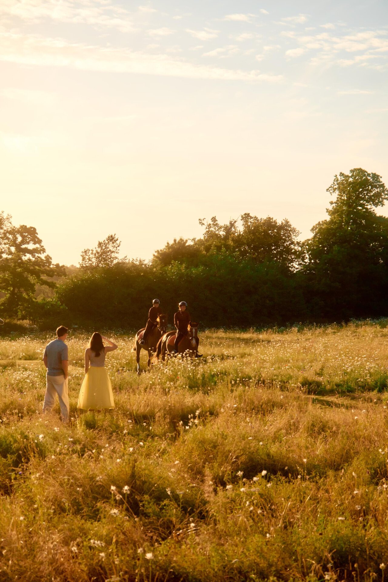 Evening in the Meadow with Horse and couple