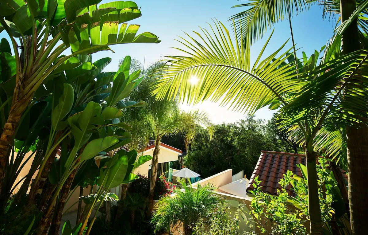 Aerial view of canyon section at Hotel Bel-Air
