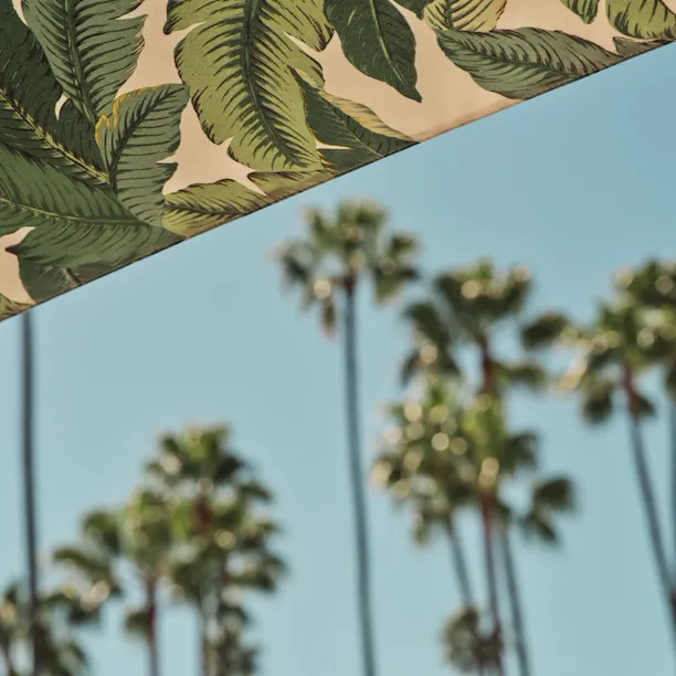 banana leaf umbrella interior with palm trees blurred moment