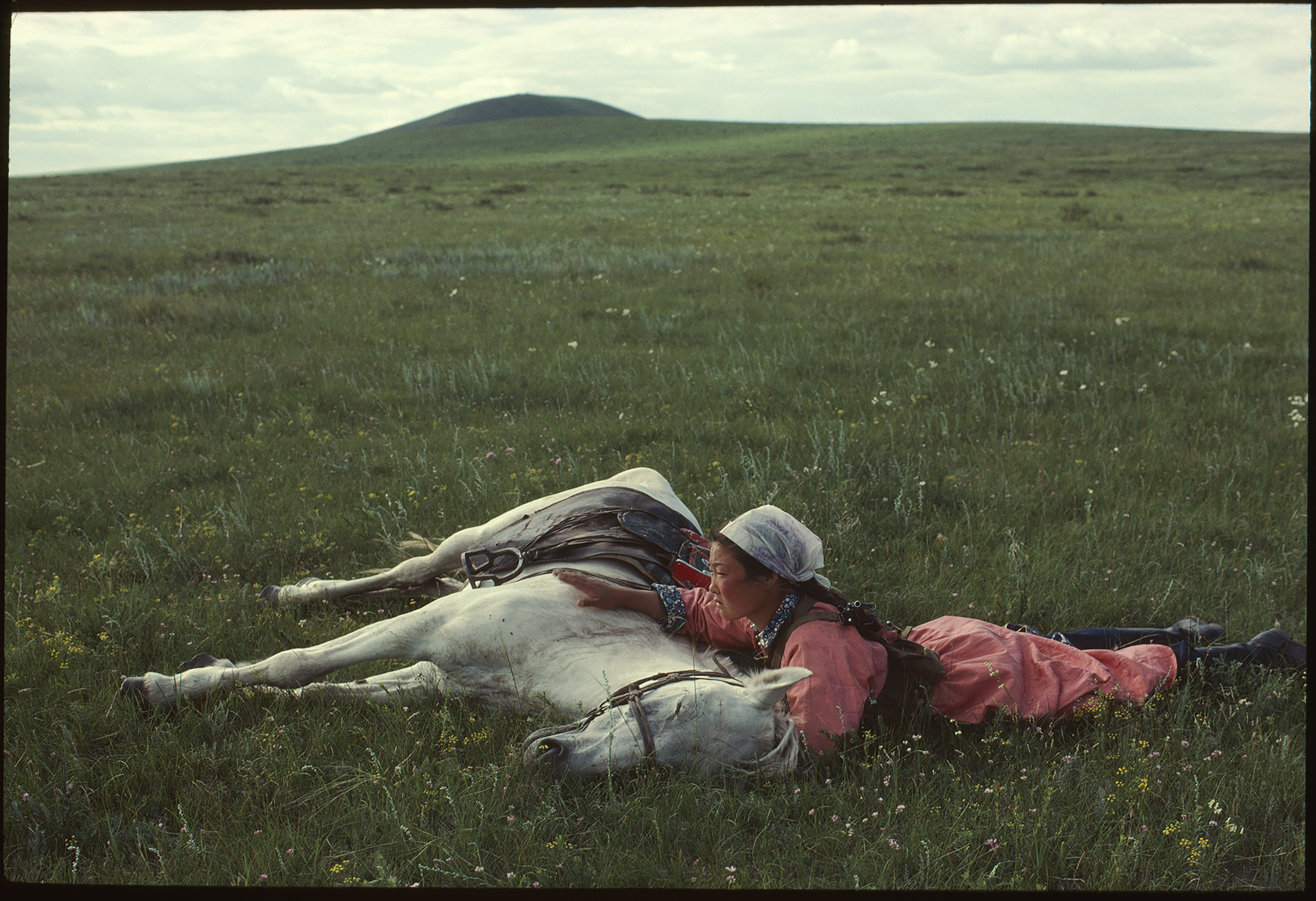 A woman and a white shore lying in filed of grass with mountain background