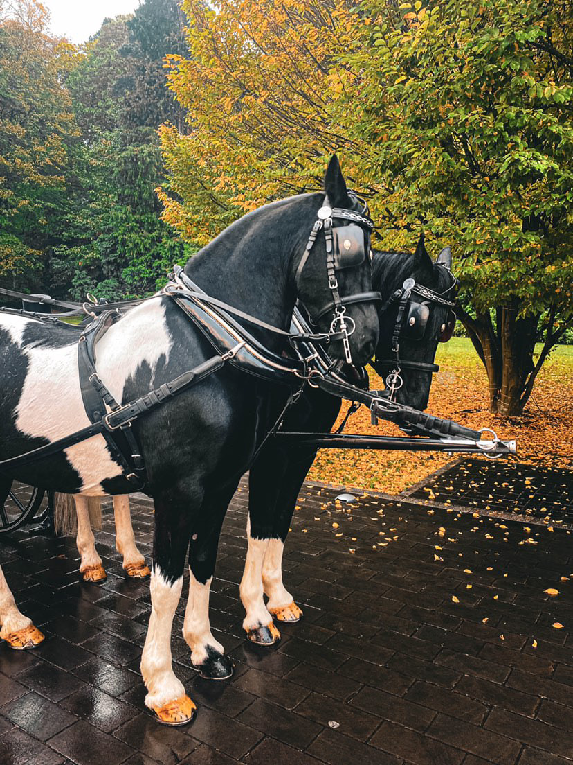  Horse Drawn Carriage at Coworth Park, Ascot.