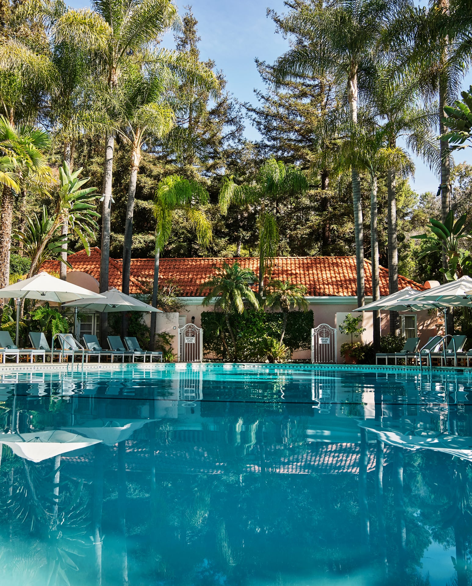 Sparkling blue pool surrounded by palm trees and greenery at Hotel Bel-Air in Los Angeles