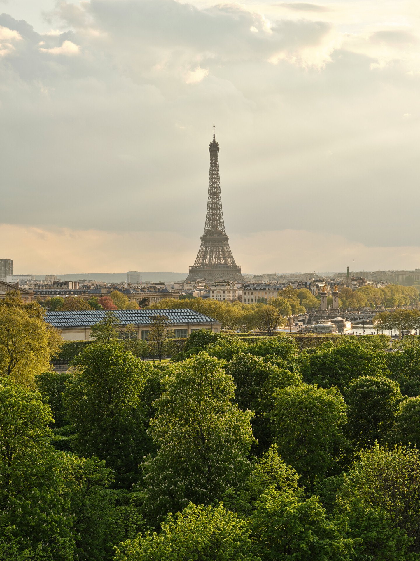 View from an Executive Suite on the Eiffel Tower behind the garden, at Le Meurice, Paris