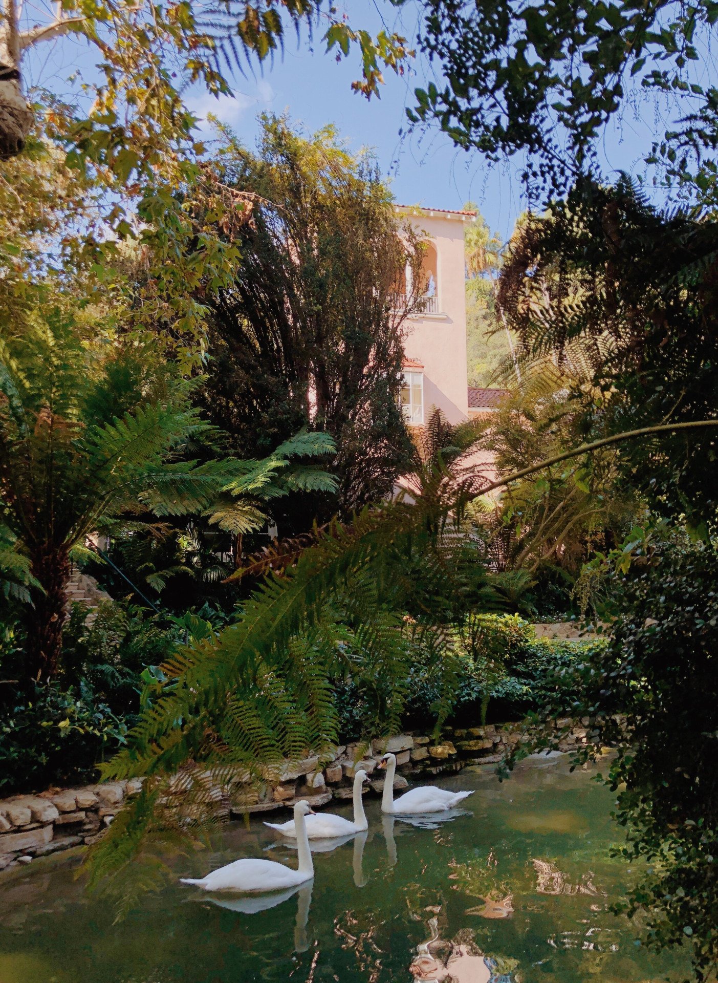 Swan Lake at Hotel Bel-Air 