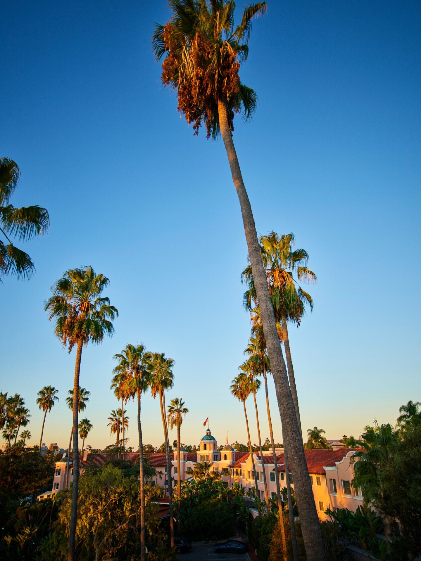 The Beverly Hills Hotel exterior photo of building with palm tree skyline 