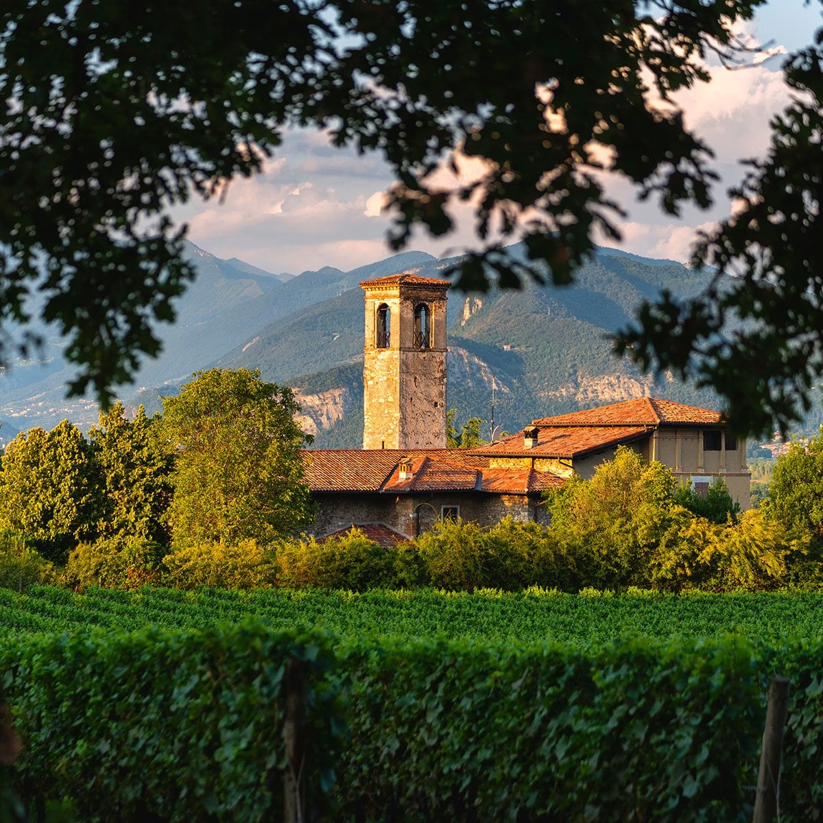 Un vigneto e una chiesa in Franciacorta, in Lombardia, nel nord Italia