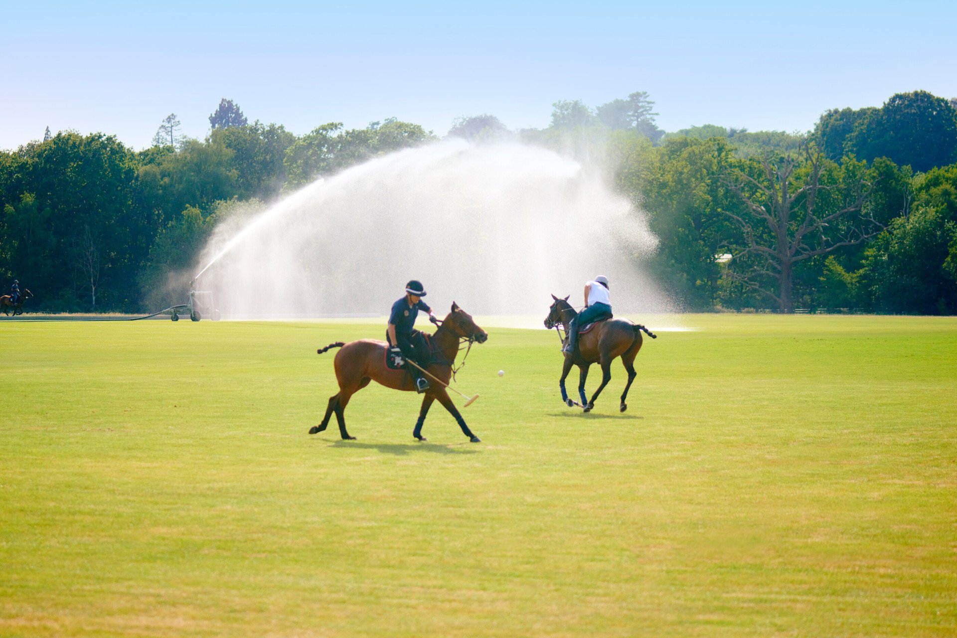 Polo at Cowoth Park 