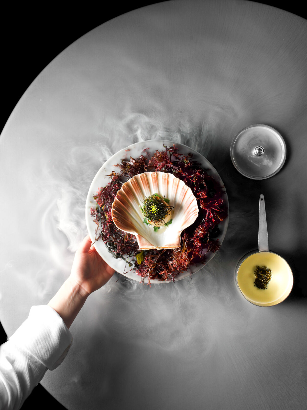 Alain Ducasse At The Dorchester Summer Menu - Scallops 