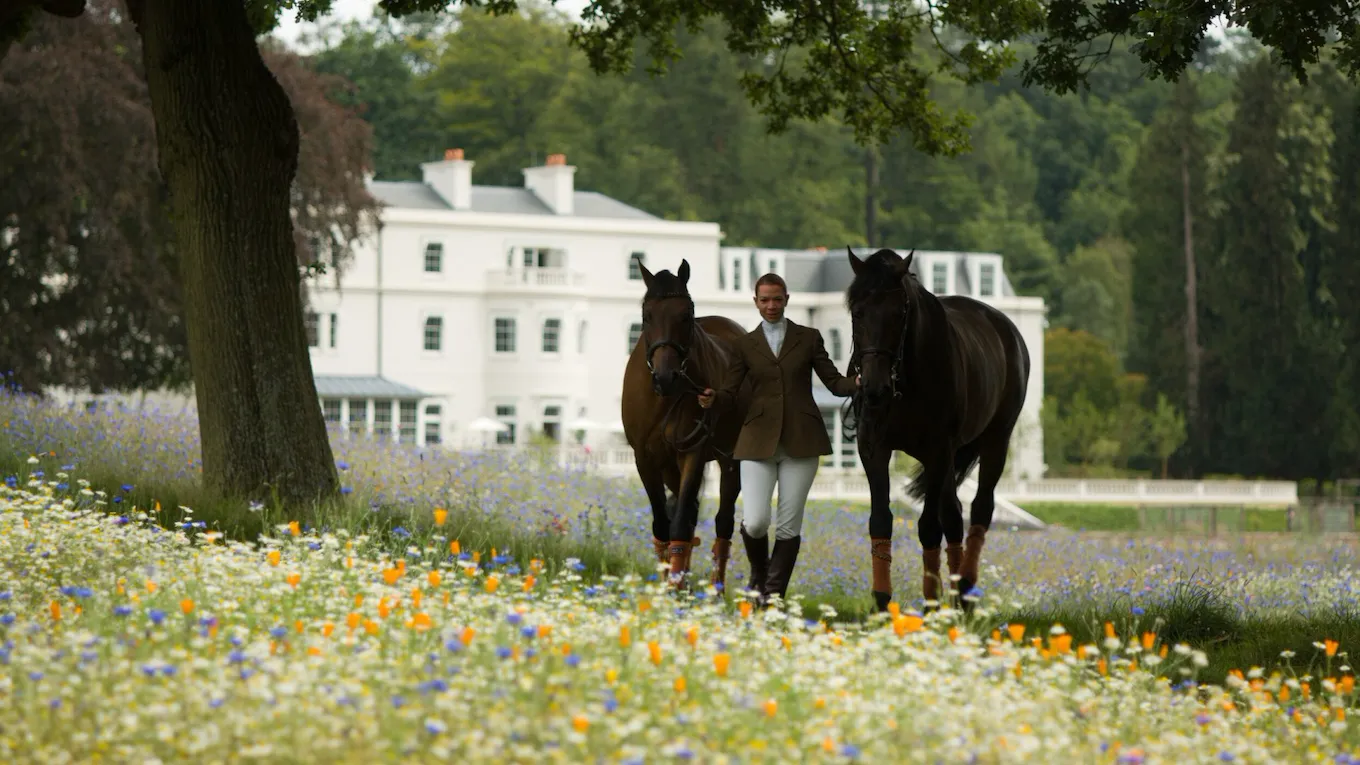 Horses in the wildflower meadow at Coworth Park with the main house beyond
