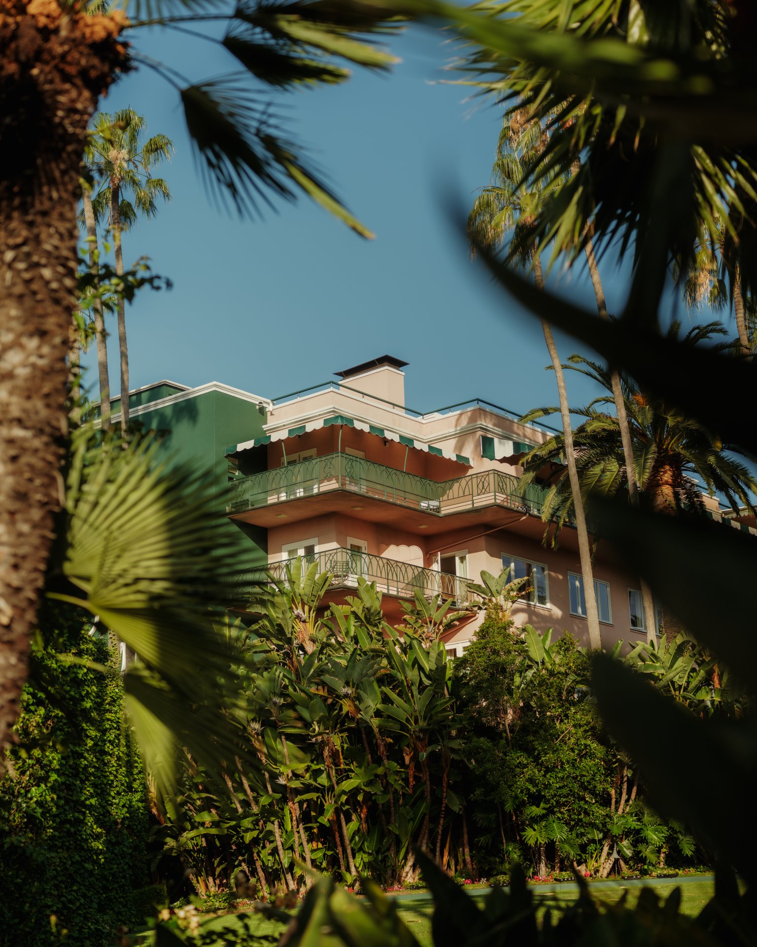 A modern building surrounded by lush palm trees under a clear blue sky.