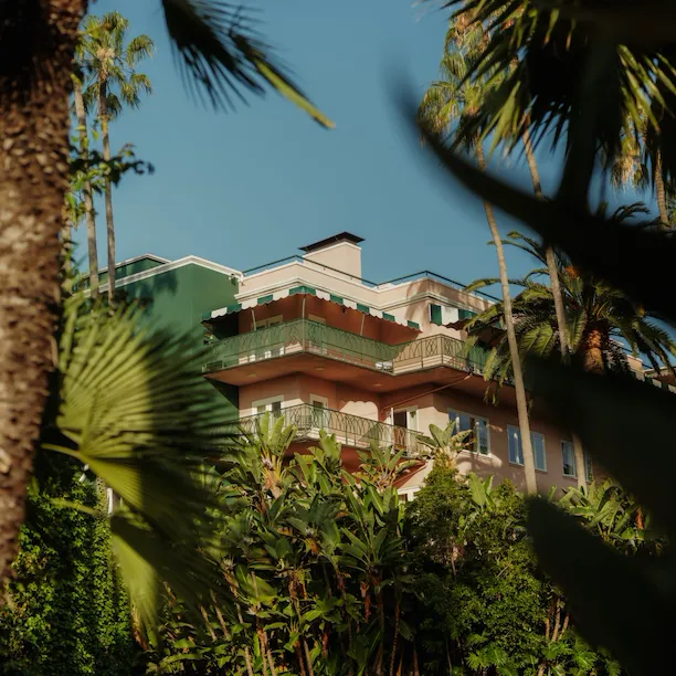A modern building surrounded by lush palm trees under a clear blue sky.