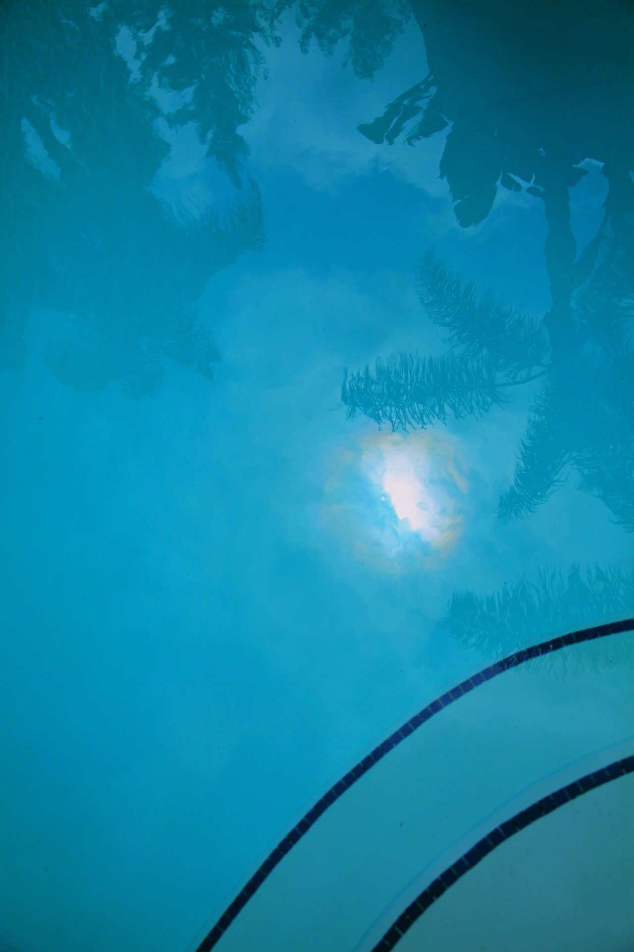 Pool with palm reflections at Hotel Bel-Air