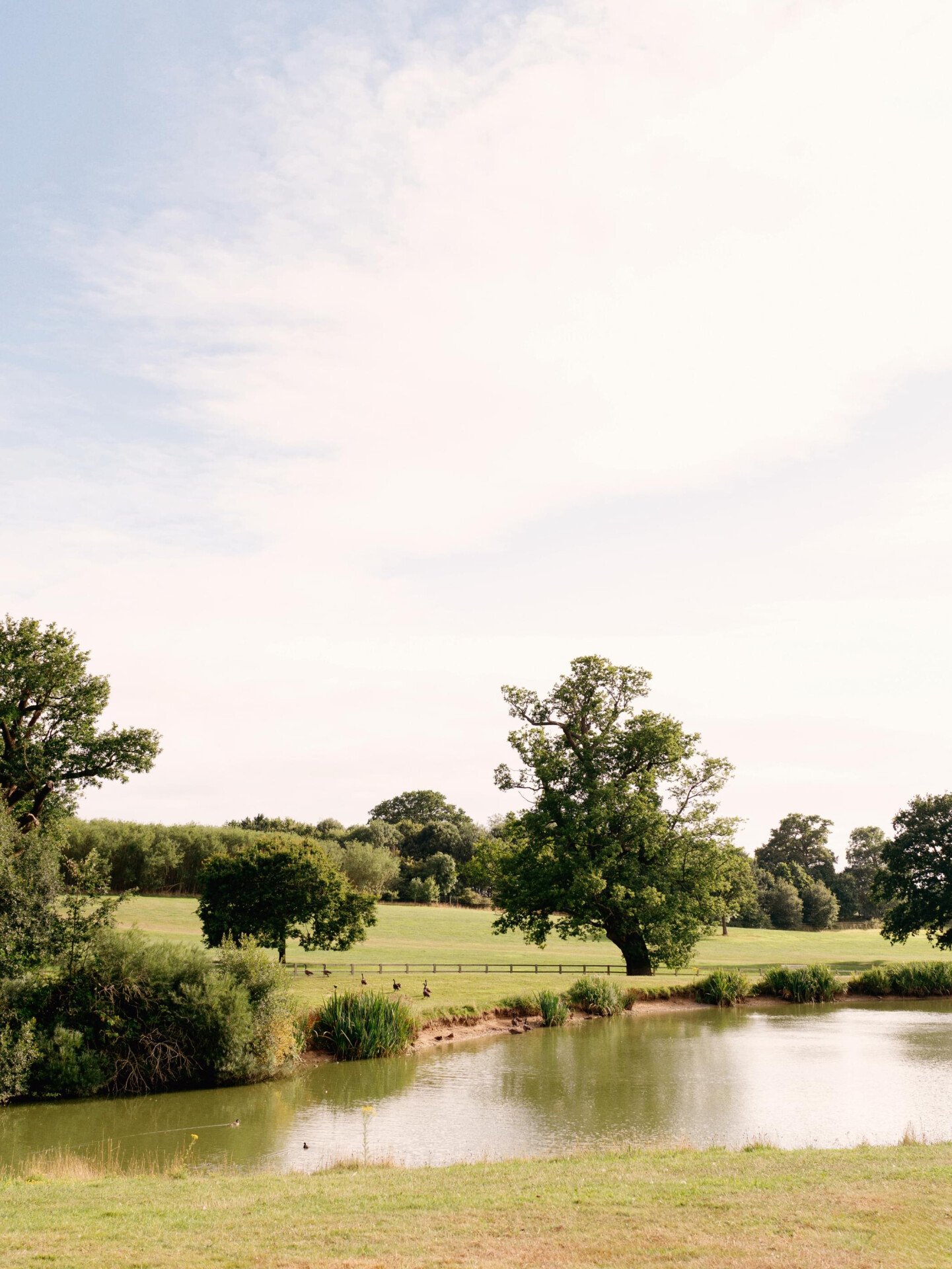The grounds at Coworth Park