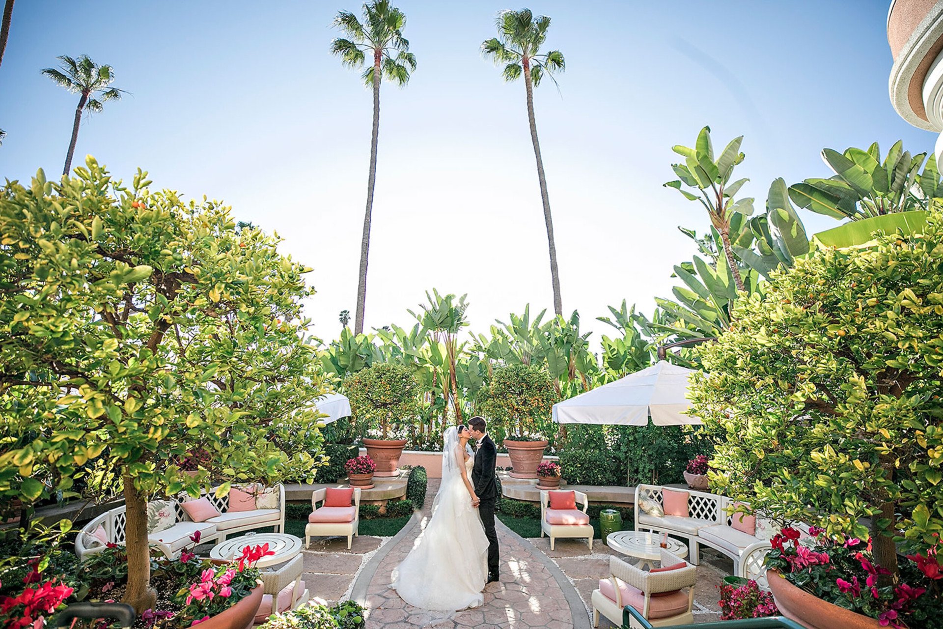 Photo by Jessica Claire of wedding couple in citrus garden